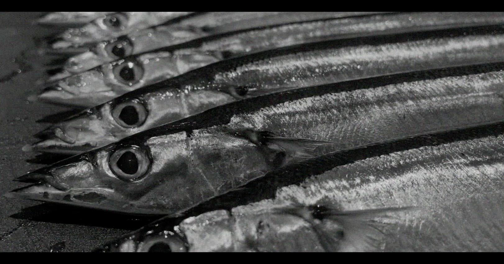 熊本　日本料理　和食　furusato